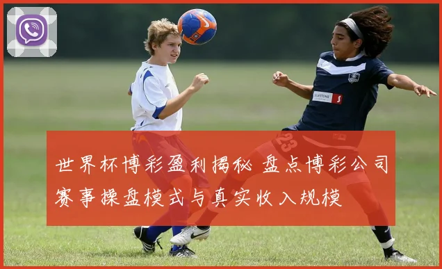 世界杯博彩盈利揭秘 盘点博彩公司赛事操盘模式与真实收入规模