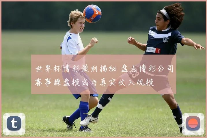 世界杯博彩盈利揭秘 盘点博彩公司赛事操盘模式与真实收入规模