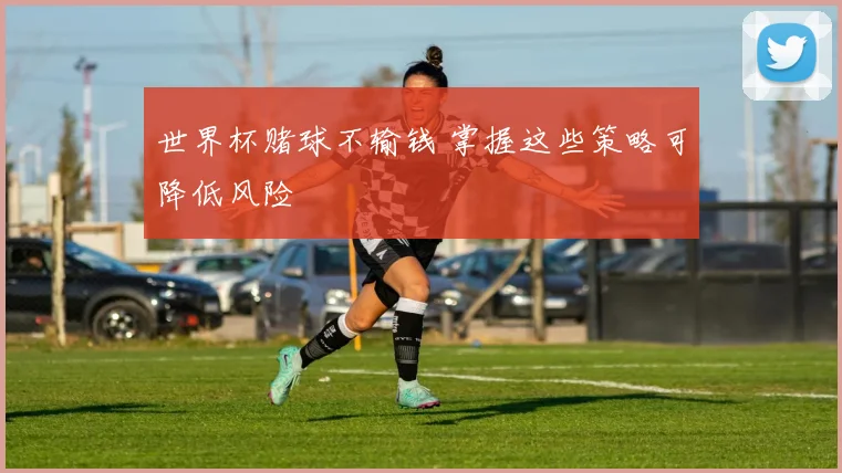 世界杯赌球不输钱 掌握这些策略可降低风险
