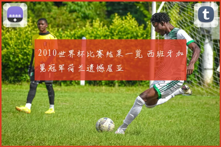 2010世界杯比赛结果一览 西班牙加冕冠军荷兰遗憾居亚
